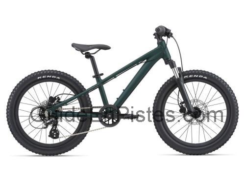 Giant STP 20 FS fiche technique et avis